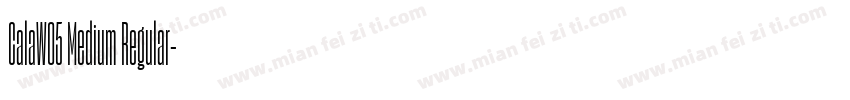 CalaW05 Medium Regular字体转换